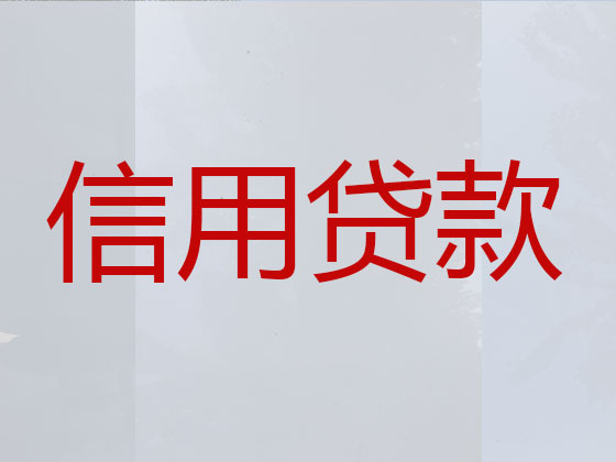 安庆贷款中介公司-信用贷款